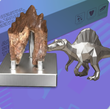 Megalodon Display #1