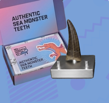 Megalodon Display #1